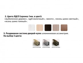 Шкаф-купе Акцент-Сим Д 1500-600 шимо светлый в Александровске - aleksandrovsk.magazinmebel.ru | фото - изображение 3