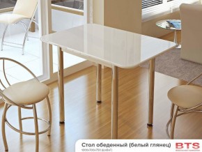 Стол обеденный белый глянец в Александровске - aleksandrovsk.magazinmebel.ru | фото